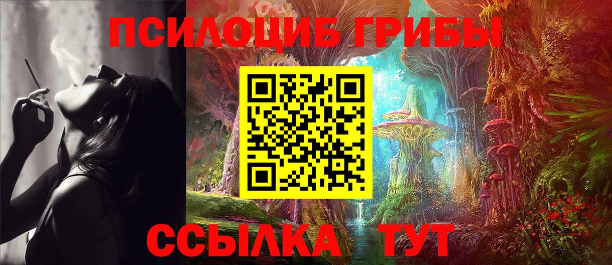 Псилоцибиновые грибы прущие грибы  Вход с VPN  наркошоп  Малгобек 