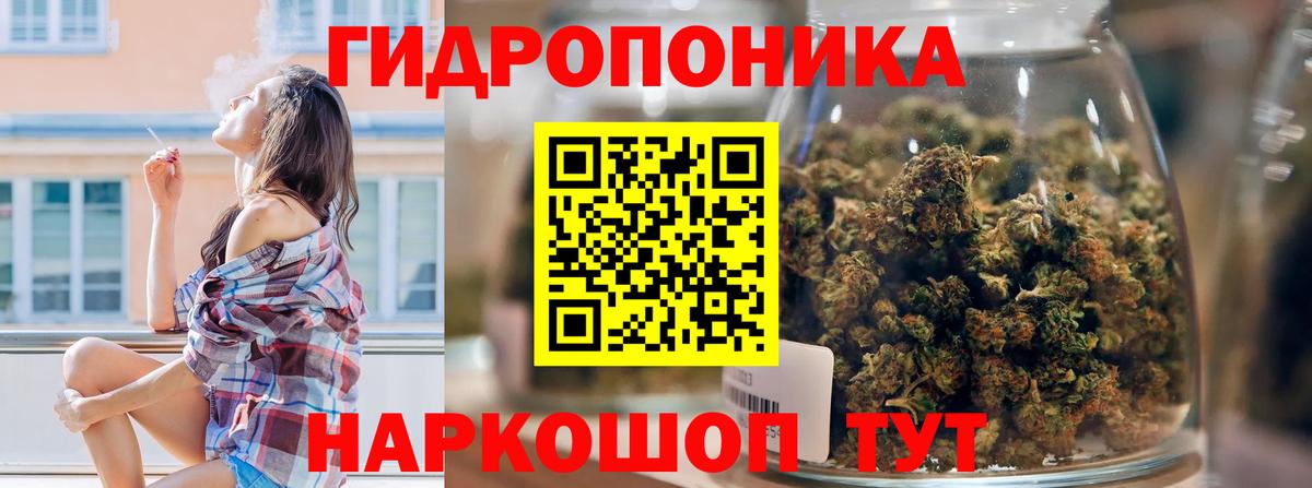Малгобек  Каннабис конопля  Канабис семена  Шишки марихуана MAZAR  Вход с VPN 